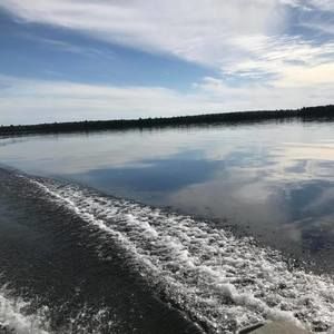 Meet your Posher, Paul